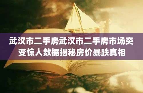 武汉市二手房武汉市二手房市场突变惊人数据揭秘房价暴跌真相