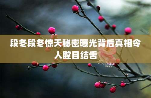 段冬段冬惊天秘密曝光背后真相令人瞠目结舌