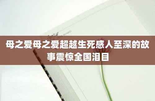 母之爱母之爱超越生死感人至深的故事震惊全国泪目