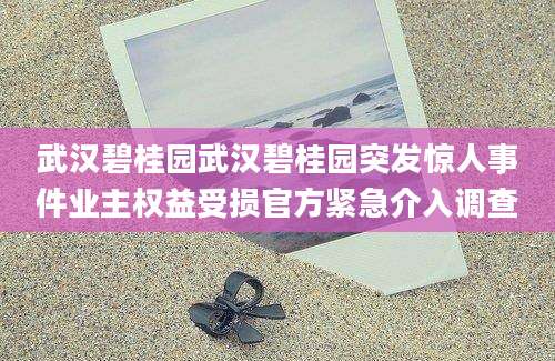武汉碧桂园武汉碧桂园突发惊人事件业主权益受损官方紧急介入调查