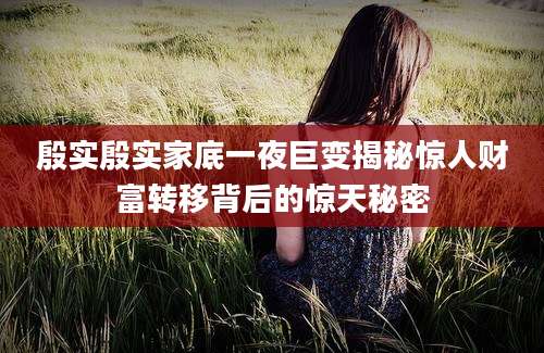 殷实殷实家底一夜巨变揭秘惊人财富转移背后的惊天秘密