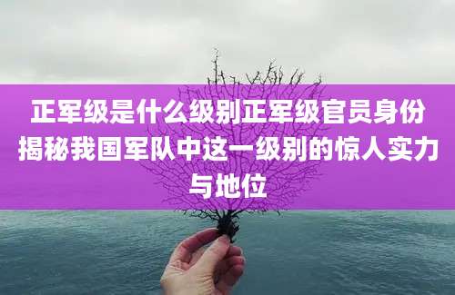 正军级是什么级别正军级官员身份揭秘我国军队中这一级别的惊人实力与地位
