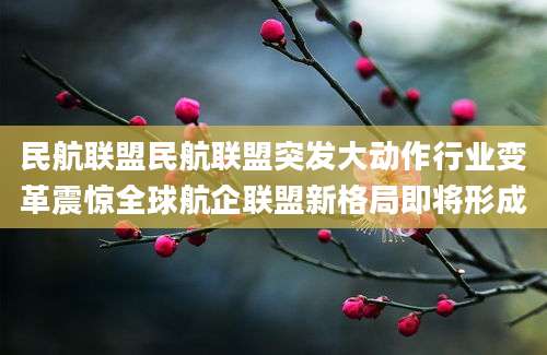 民航联盟民航联盟突发大动作行业变革震惊全球航企联盟新格局即将形成