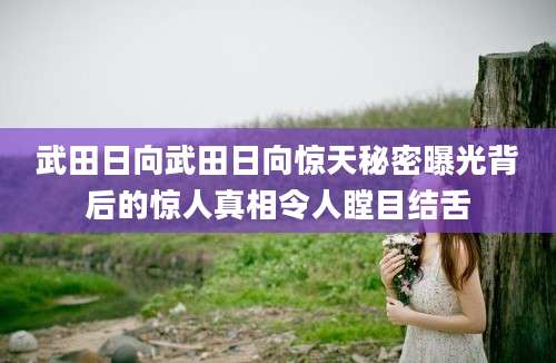 武田日向武田日向惊天秘密曝光背后的惊人真相令人瞠目结舌
