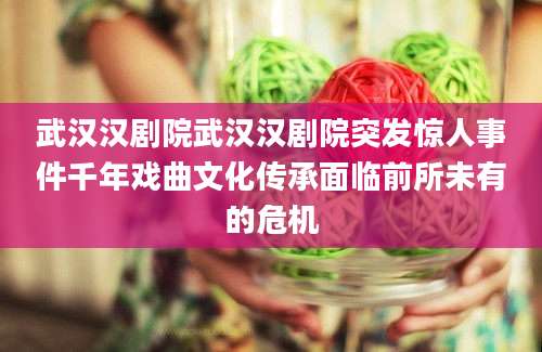 武汉汉剧院武汉汉剧院突发惊人事件千年戏曲文化传承面临前所未有的危机