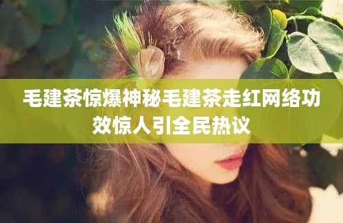 毛建茶惊爆神秘毛建茶走红网络功效惊人引全民热议