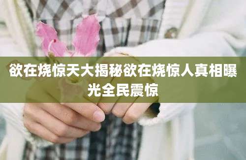 欲在烧惊天大揭秘欲在烧惊人真相曝光全民震惊