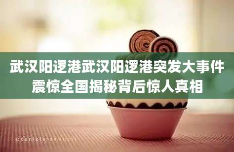 武汉阳逻港武汉阳逻港突发大事件震惊全国揭秘背后惊人真相