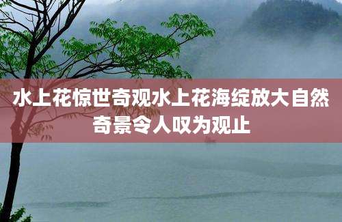 水上花惊世奇观水上花海绽放大自然奇景令人叹为观止