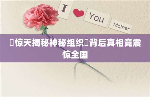 歘惊天揭秘神秘组织歘背后真相竟震惊全国