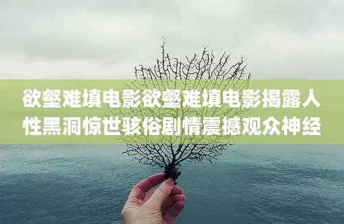 欲壑难填电影欲壑难填电影揭露人性黑洞惊世骇俗剧情震撼观众神经