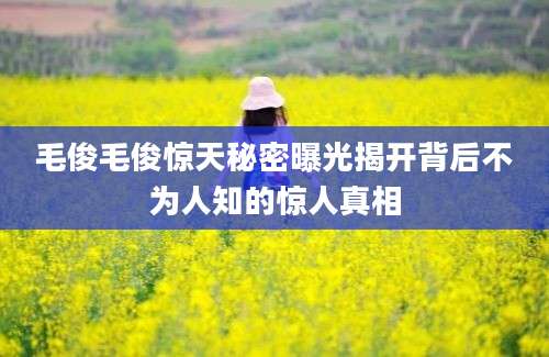 毛俊毛俊惊天秘密曝光揭开背后不为人知的惊人真相