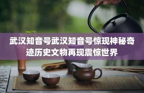 武汉知音号武汉知音号惊现神秘奇迹历史文物再现震惊世界