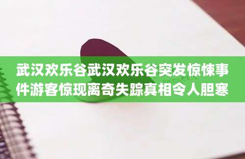 武汉欢乐谷武汉欢乐谷突发惊悚事件游客惊现离奇失踪真相令人胆寒