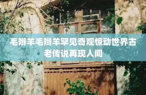 毛辫羊毛辫羊罕见奇观惊动世界古老传说再现人间