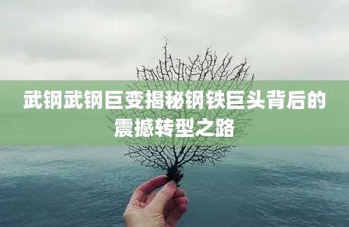 武钢武钢巨变揭秘钢铁巨头背后的震撼转型之路