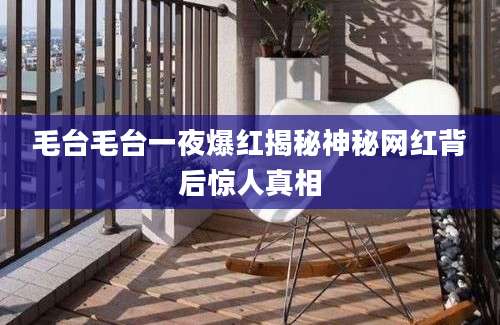 毛台毛台一夜爆红揭秘神秘网红背后惊人真相