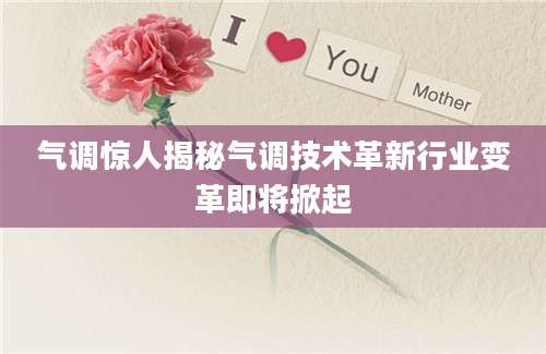 气调惊人揭秘气调技术革新行业变革即将掀起