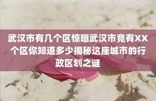 武汉市有几个区惊曝武汉市竟有XX个区你知道多少揭秘这座城市的行政区划之谜