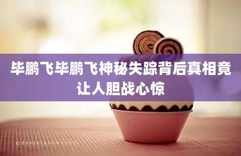 毕鹏飞毕鹏飞神秘失踪背后真相竟让人胆战心惊