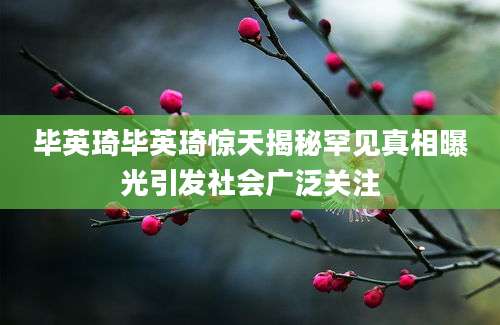 毕英琦毕英琦惊天揭秘罕见真相曝光引发社会广泛关注