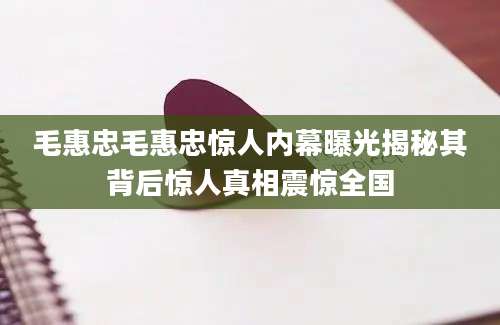 毛惠忠毛惠忠惊人内幕曝光揭秘其背后惊人真相震惊全国