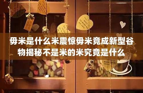 毋米是什么米震惊毋米竟成新型谷物揭秘不是米的米究竟是什么
