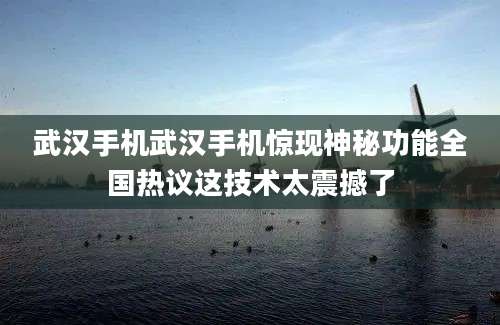 武汉手机武汉手机惊现神秘功能全国热议这技术太震撼了