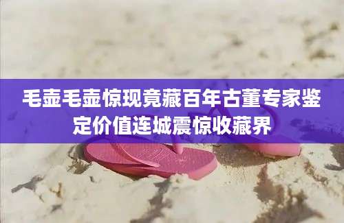 毛壶毛壶惊现竟藏百年古董专家鉴定价值连城震惊收藏界