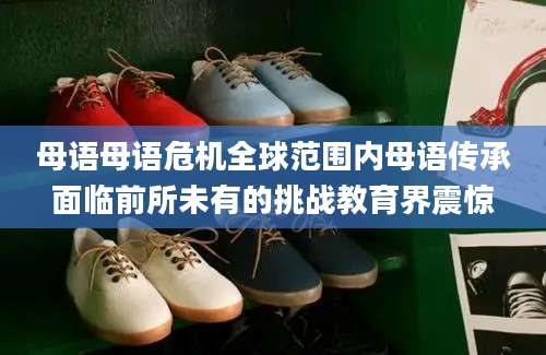 母语母语危机全球范围内母语传承面临前所未有的挑战教育界震惊