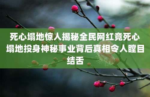 死心塌地惊人揭秘全民网红竟死心塌地投身神秘事业背后真相令人瞠目结舌