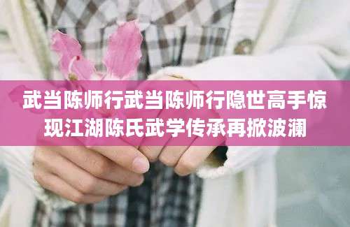 武当陈师行武当陈师行隐世高手惊现江湖陈氏武学传承再掀波澜