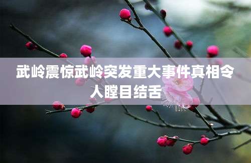 武岭震惊武岭突发重大事件真相令人瞠目结舌