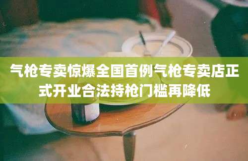 气枪专卖惊爆全国首例气枪专卖店正式开业合法持枪门槛再降低