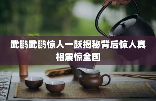 武鹏武鹏惊人一跃揭秘背后惊人真相震惊全国