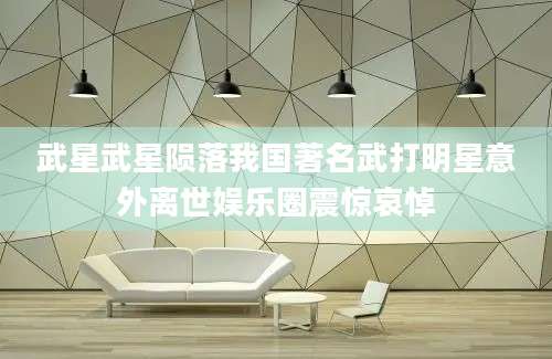 武星武星陨落我国著名武打明星意外离世娱乐圈震惊哀悼