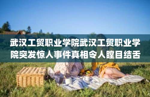 武汉工贸职业学院武汉工贸职业学院突发惊人事件真相令人瞠目结舌
