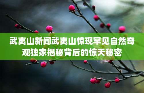 武夷山新闻武夷山惊现罕见自然奇观独家揭秘背后的惊天秘密