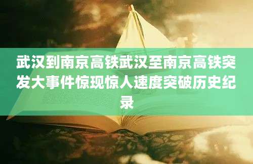 武汉到南京高铁武汉至南京高铁突发大事件惊现惊人速度突破历史纪录