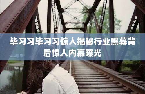 毕习习毕习习惊人揭秘行业黑幕背后惊人内幕曝光