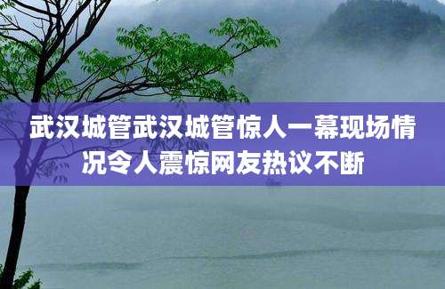 武汉城管武汉城管惊人一幕现场情况令人震惊网友热议不断