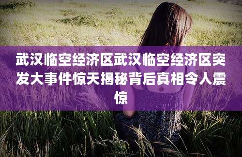 武汉临空经济区武汉临空经济区突发大事件惊天揭秘背后真相令人震惊