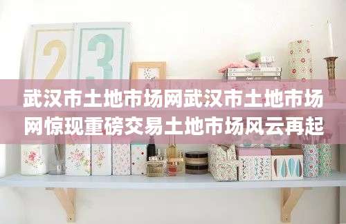 武汉市土地市场网武汉市土地市场网惊现重磅交易土地市场风云再起