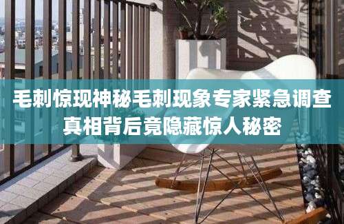 毛刺惊现神秘毛刺现象专家紧急调查真相背后竟隐藏惊人秘密