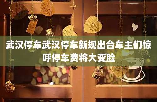 武汉停车武汉停车新规出台车主们惊呼停车费将大变脸