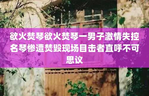欲火焚琴欲火焚琴一男子激情失控名琴惨遭焚毁现场目击者直呼不可思议