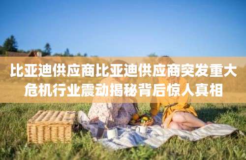 比亚迪供应商比亚迪供应商突发重大危机行业震动揭秘背后惊人真相