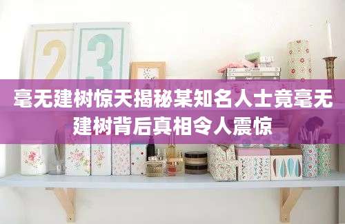 毫无建树惊天揭秘某知名人士竟毫无建树背后真相令人震惊