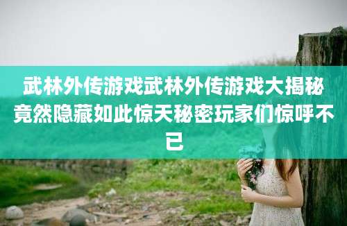 武林外传游戏武林外传游戏大揭秘竟然隐藏如此惊天秘密玩家们惊呼不已