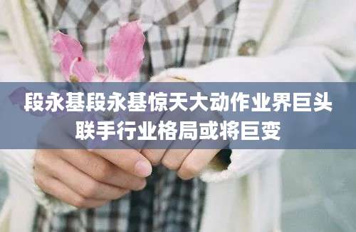 段永基段永基惊天大动作业界巨头联手行业格局或将巨变